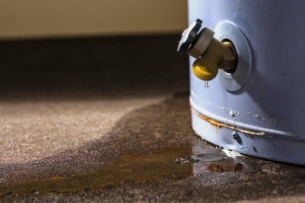 Best Carpet water damage restoration  in Cotati, CA