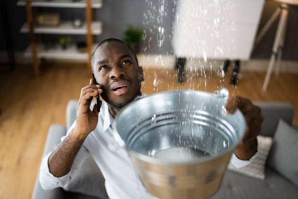 Best Basement water damage restoration  in Cotati, CA