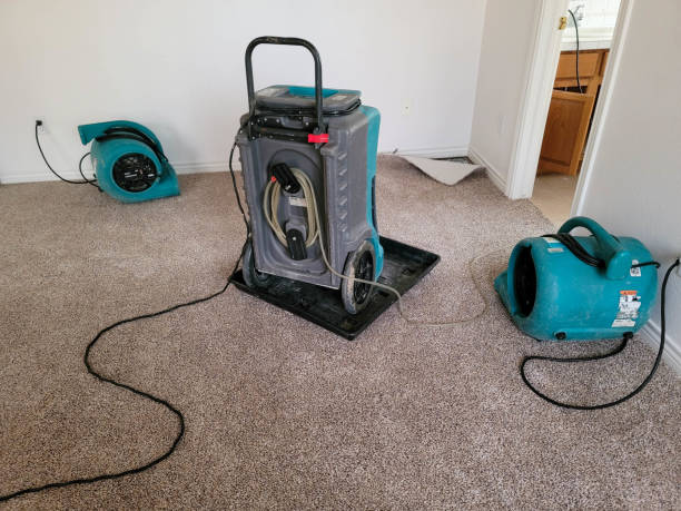 Best Water damage restoration near me  in Cotati, CA