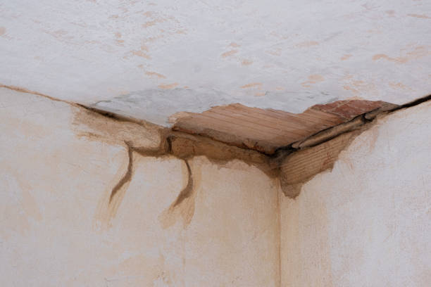  Cotati, CA Water damage restoration Pros