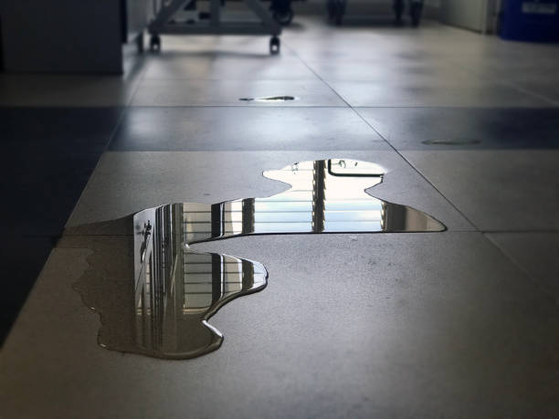 Best Carpet water damage restoration  in Cotati, CA