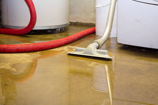 Best Water damage restoration process  in Cotati, CA