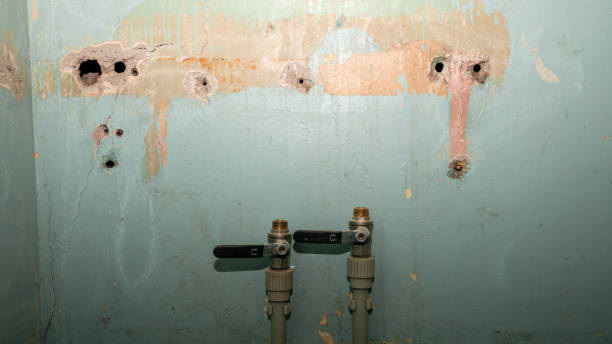 Best Fire Damage Restoration  in Cotati, CA