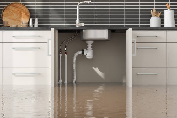 Best Local water damage restoration  in Cotati, CA
