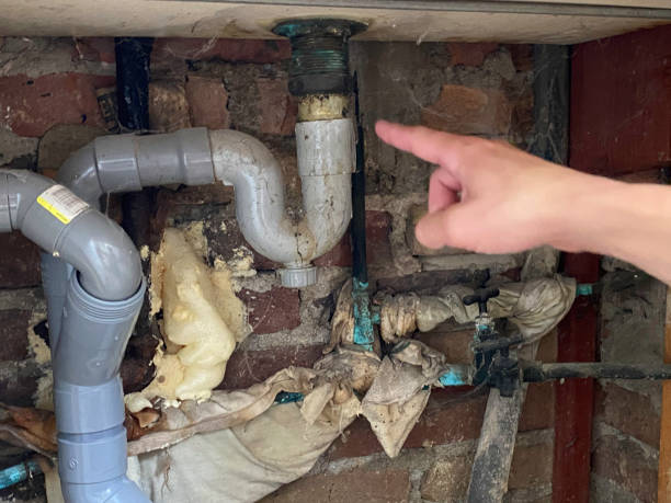 Best Professional water damage repair  in Cotati, CA