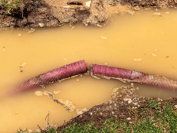 Best Water damage restoration experts  in Cotati, CA