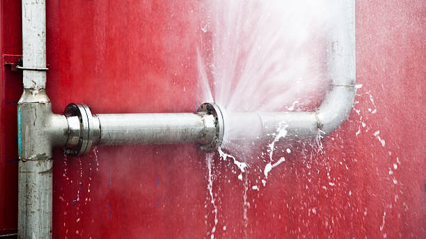 Best 24/7 water damage repair  in Cotati, CA